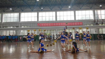 青春活力助燃賽場，管理工程系啦啦隊(duì)閃耀石家莊科技工程職業(yè)學(xué)院籃球賽